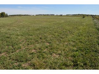 Property photo 73 - 80 +/- Acres Offered in 6 Tracts - Spectacular Farm & Home